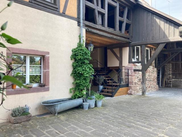 Joli Gite 2 Personnes En Alsace Guemar Экстерьер фото